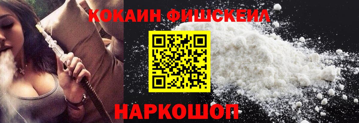 Кокаин Fish Scale  где продают   Нижнекамск  Вход с VPN  Cocaine Fish Scale  Cocaine 