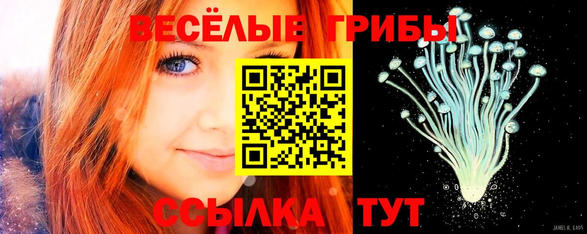 Псилоцибиновые грибы прущие грибы  Псилоцибиновые грибы GOLDEN TEACHER  Вход с VPN  Нижнекамск 